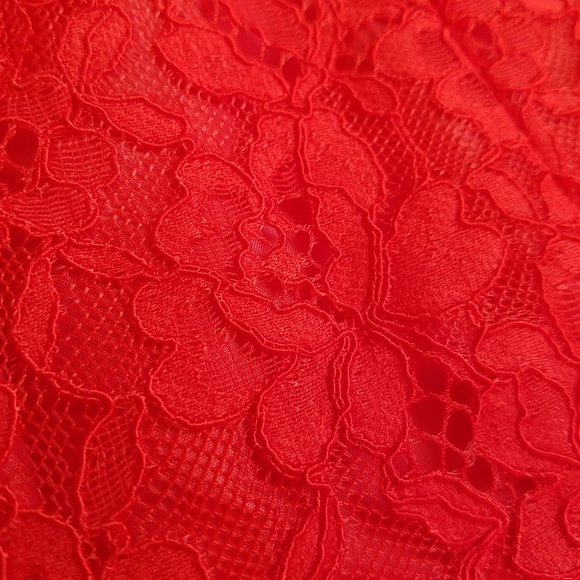 Shoshanna Red Lace Sleeveless Dress - Picture 9 of 11